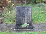 image of grave number 808055